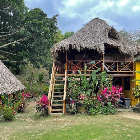 Ecohostal Palmares Del Rio Guachaca Zewnętrze zdjęcie