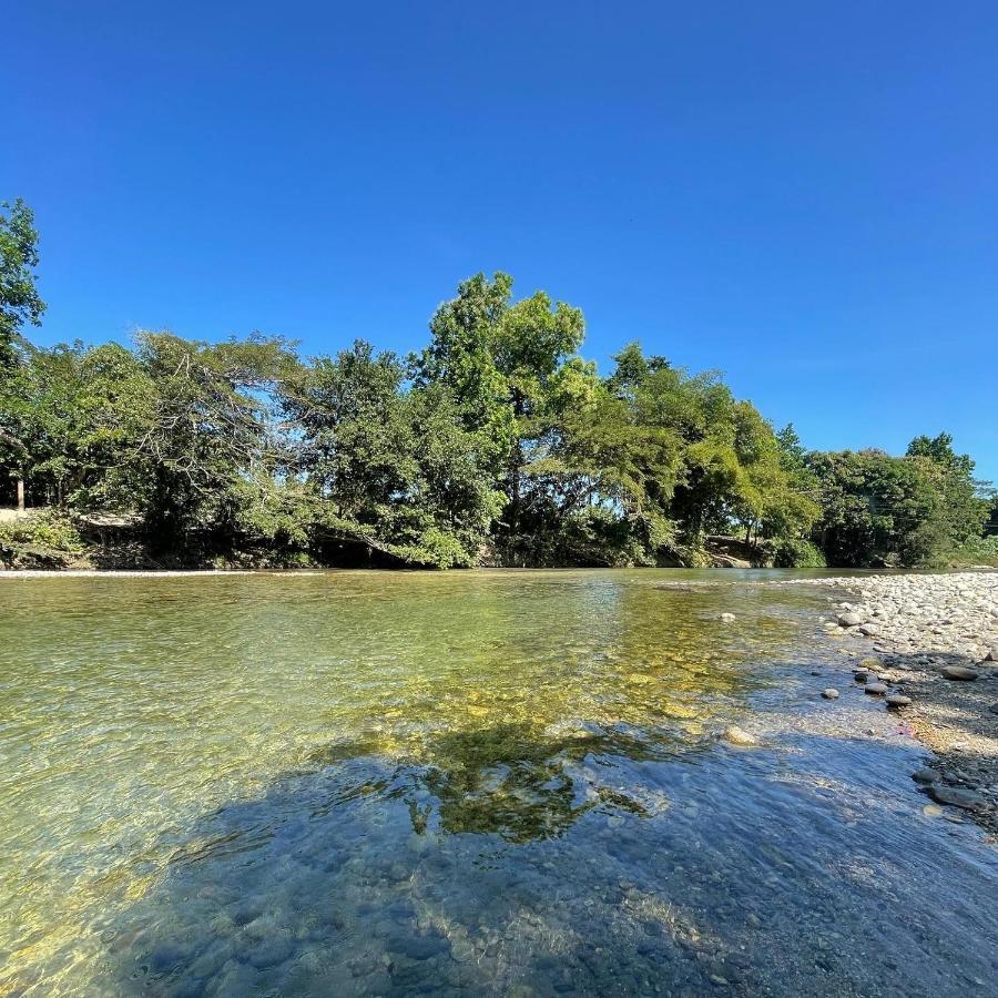 Ecohostal Palmares Del Rio Guachaca Zewnętrze zdjęcie