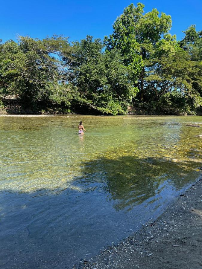 Ecohostal Palmares Del Rio Guachaca Zewnętrze zdjęcie