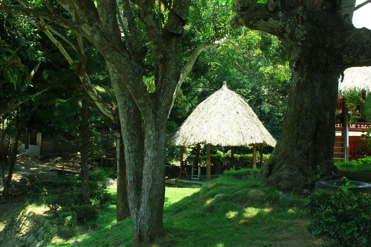 Ecohostal Palmares Del Rio Guachaca Zewnętrze zdjęcie